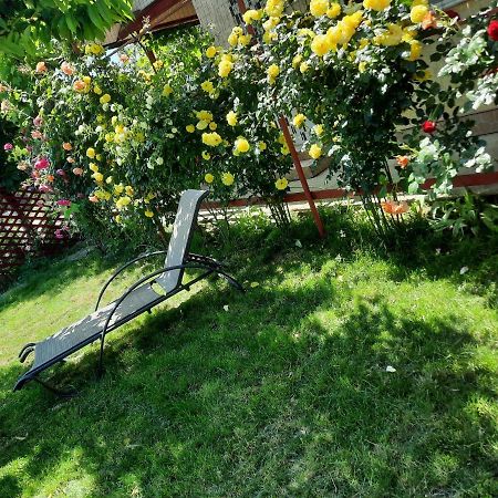 Casa De Vacanta Alexoiu 2 Mai Ngoại thất bức ảnh